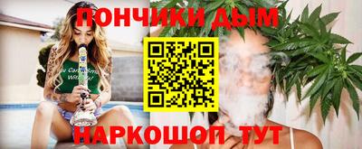 крисы Кулебаки