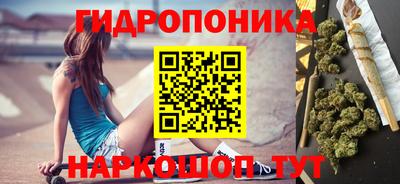 крисы Кулебаки
