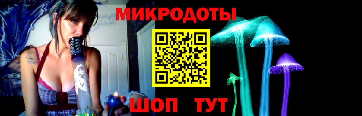 Галлюциногенные грибы Psilocybe  Вход с VPN  Клин  Псилоцибиновые грибы Psilocybine cubensis 